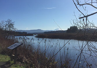 Outdoor recreation new Silver Lake Village