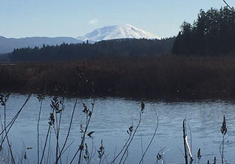 Silver Lake Village located near outdoor recreation and Mt St Helens